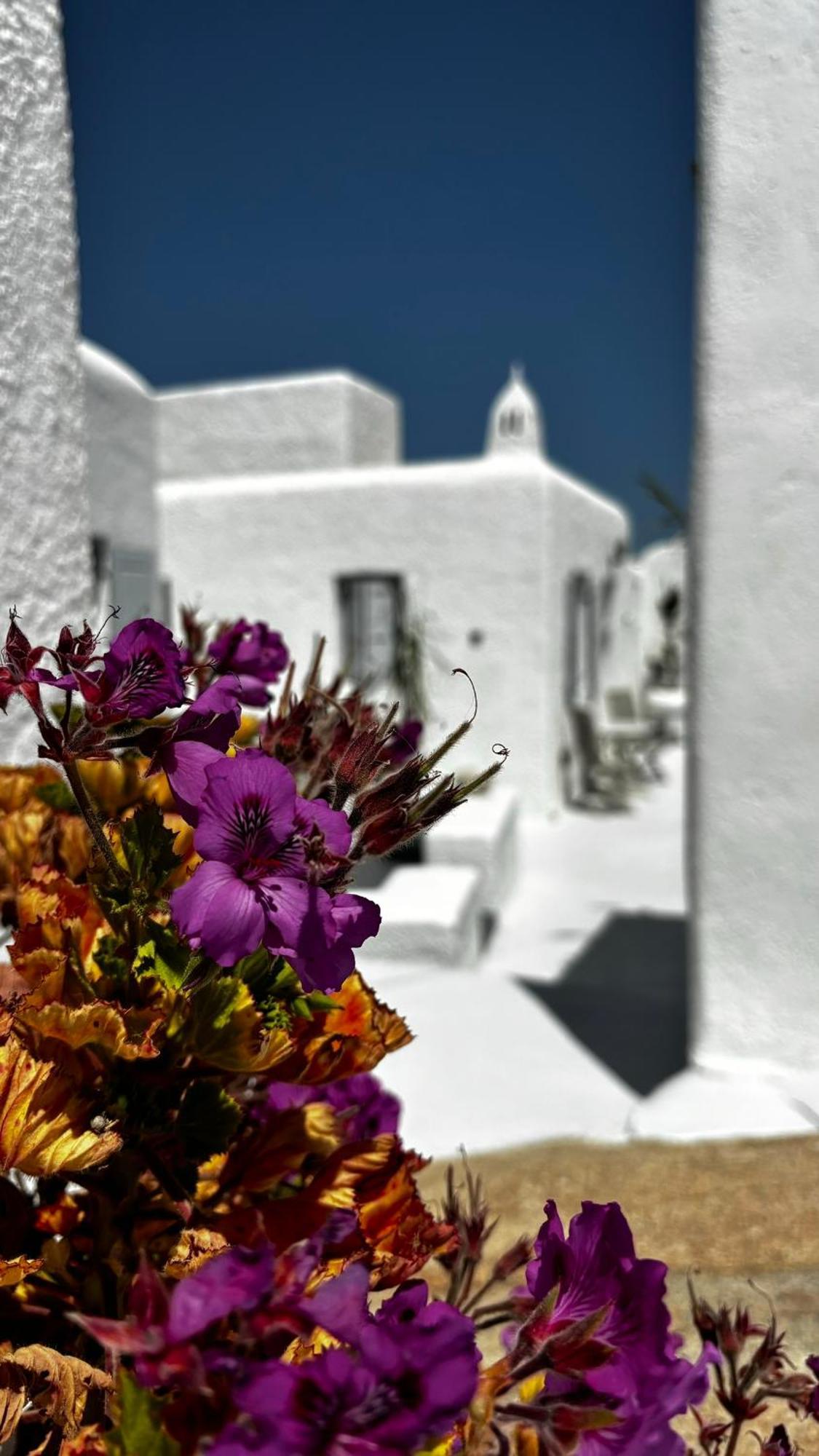Vougli View Mykonos Otel Drafaki Dış mekan fotoğraf